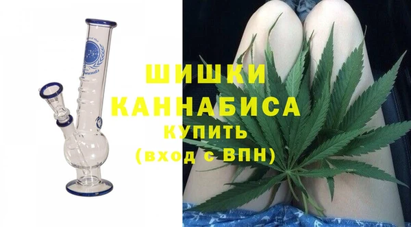 apvp Инта