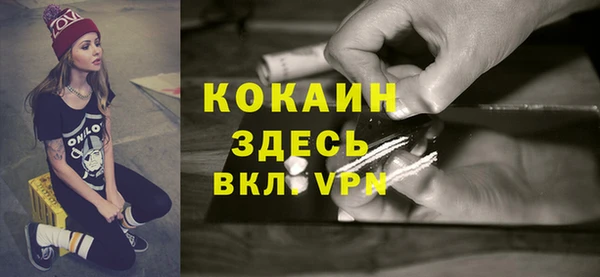 apvp Инта