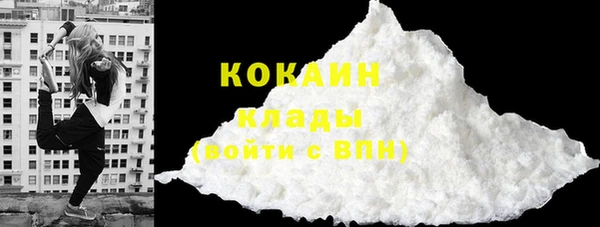apvp Инта