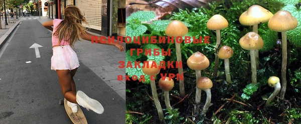 трава Иннополис