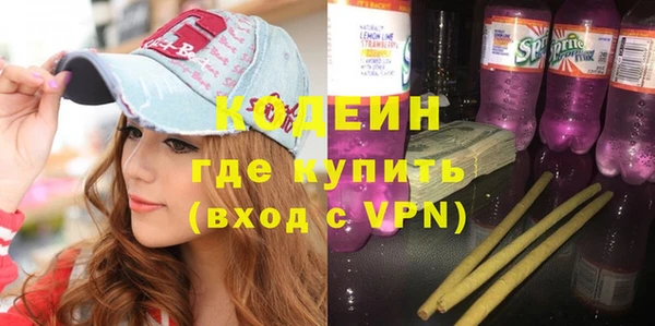 apvp Инта