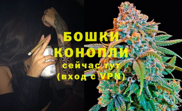 apvp Инта