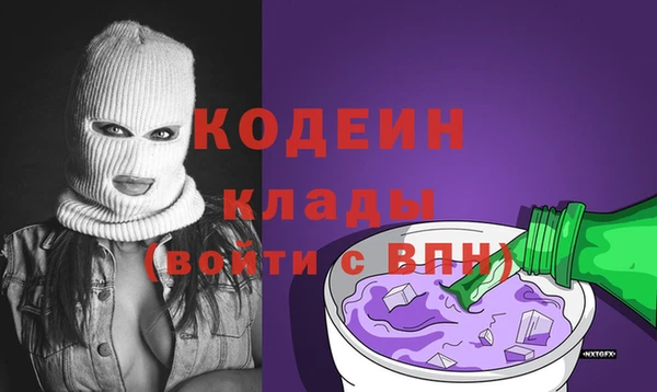 apvp Инта