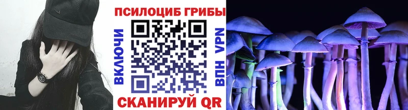 Купить  Амурск  Галлюциногенные грибы Psilocybe 