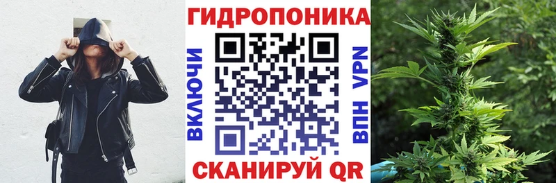 Бошки марихуана ГИДРОПОН  Купить закладки  Амурск 